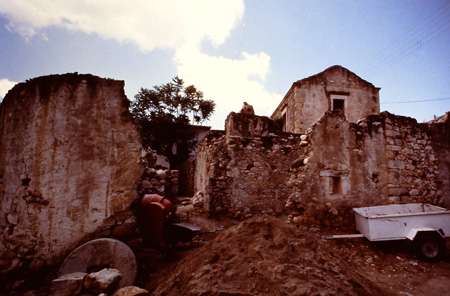 地球環境保護団体 GAEA ガイア