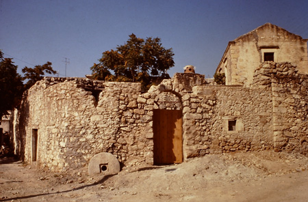 地球環境保護団体 GAEA ガイア