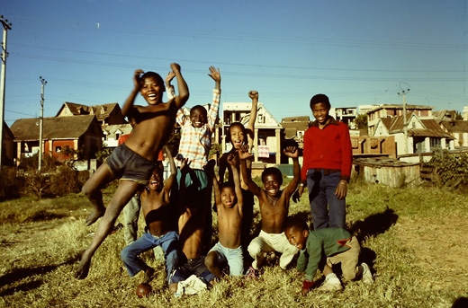 ガイア植林基金